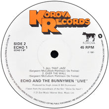 Load image into Gallery viewer, Echo And The Bunnymen* : Shine So Hard (12", Single)