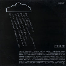 Load image into Gallery viewer, The Cult : Rain (12", Single)