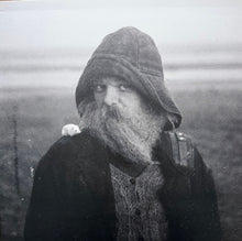 Load image into Gallery viewer, mary in the junkyard : Role Model Hermit (LP, Album)