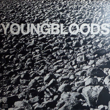 Load image into Gallery viewer, The Youngbloods : Rock Festival (LP, Album)
