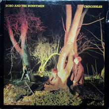 Load image into Gallery viewer, Echo And The Bunnymen* : Crocodiles (LP, Album, RE)