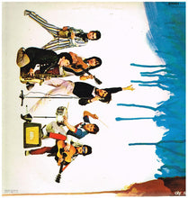 Load image into Gallery viewer, The Boomtown Rats : A Tonic For The Troops (LP)