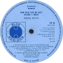 Load image into Gallery viewer, Various : How Blue Can We Get? (2xLP, Comp)