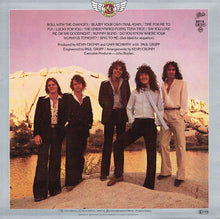 Load image into Gallery viewer, REO Speedwagon : You Can Tune A Piano, But You Can't Tuna Fish (LP, Album, RE)