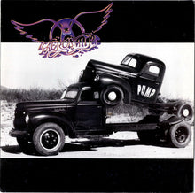 Load image into Gallery viewer, Aerosmith : Pump (LP, Album)