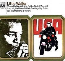 Load image into Gallery viewer, Little Walter : Little Walter (LP, Comp, RE)