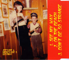 Load image into Gallery viewer, Sibling Rivalry : In A Family Way (CD, Maxi)