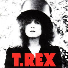 Load image into Gallery viewer, T. Rex : The Slider (LP, Album)