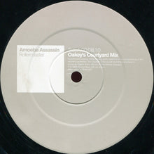 Load image into Gallery viewer, Amoeba Assassin : Rollercoaster (12")