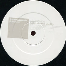 Load image into Gallery viewer, Amoeba Assassin : Rollercoaster (12")