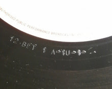 Load image into Gallery viewer, The B-52's : Rock Lobster (12", Single)