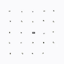 Load image into Gallery viewer, The Durian Brothers / Ensemble Skalectrik : Split Series #22 (12")