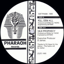 Load image into Gallery viewer, Taone & Datman : Kill Dem All / Nile Prophecy (12")