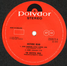 Load image into Gallery viewer, The Grateful Dead : Historic Dead (LP, Album)