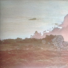 Load image into Gallery viewer, The Doobie Brothers : Stampede (LP, Album, Gat)