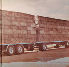 Load image into Gallery viewer, Gram Parsons : GP (LP, Album, RE, 180)