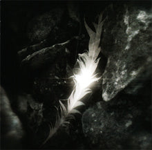 Load image into Gallery viewer, Rapture (2) : Silent Stage (CD, Album)