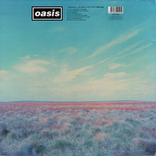Load image into Gallery viewer, Oasis (2) : Whatever (12", Single, Dam)