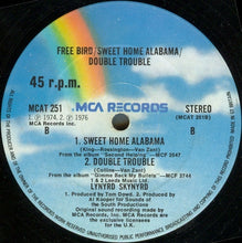 Load image into Gallery viewer, Lynyrd Skynyrd : Freebird (12", Blu)