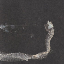 Load image into Gallery viewer, Tenhi : Maaäet (CD, Album)