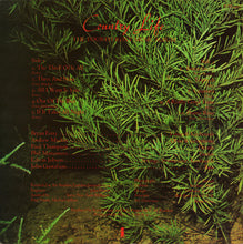 Load image into Gallery viewer, Roxy Music : Country Life (LP, Album)
