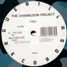 Load image into Gallery viewer, The Chameleon Project : Feel (12")