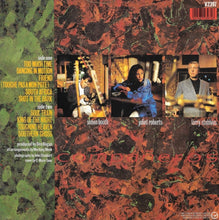 Load image into Gallery viewer, Working Week : Compañeros (LP, Album)