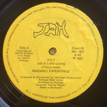 Load image into Gallery viewer, Wadadli Experience : July (12", Maxi)