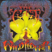 Load image into Gallery viewer, The Cult : Wild Flower (2x7", Single, Gat)