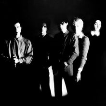 Load image into Gallery viewer, The Birthday Party : The Birthday Party (LP, Album, RE)