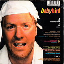 Load image into Gallery viewer, Babybird : Goodnight (7", Single)