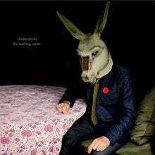 Load image into Gallery viewer, Tindersticks : The Waiting Room (CD, Album)