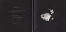 Load image into Gallery viewer, Tindersticks : The Waiting Room (CD, Album)