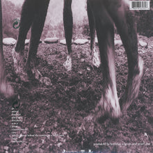 Load image into Gallery viewer, Pearl Jam : Vs. (LP, Album, RE, RM, 180)