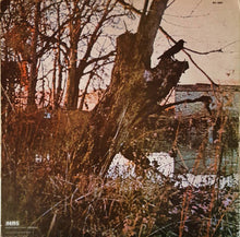 Load image into Gallery viewer, Black Sabbath : Black Sabbath (LP, Album, RE, Gat)