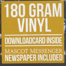 Load image into Gallery viewer, No Sinner : Old Habits Die Hard (LP, Album)