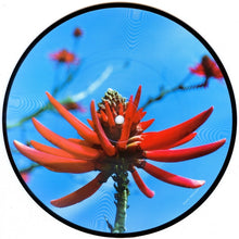 Load image into Gallery viewer, Depeche Mode : Precious (7", Single, Ltd, Num, Pic)