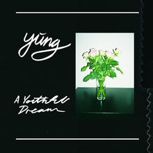 Load image into Gallery viewer, Yung (4) : A Youthful Dream (LP, Album)