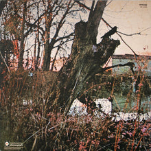 Load image into Gallery viewer, Black Sabbath : Black Sabbath (LP, Album, RE, Gat)