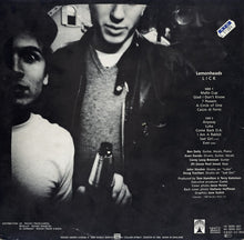 Load image into Gallery viewer, Lemonheads* : Lick (LP, Album)
