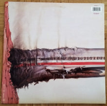 Load image into Gallery viewer, Beastie Boys : Licensed To Ill (LP, Album, Gat)