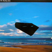 Load image into Gallery viewer, BT : Flaming June (12")