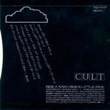 Load image into Gallery viewer, The Cult : Rain (7", Single)