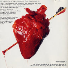 Load image into Gallery viewer, The Wildhearts : Don't Be Happy... Just Worry (CD, MiniAlbum, RE)
