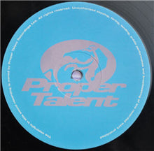 Load image into Gallery viewer, DJ Rap : Presenting The DJ / Mayday (12")