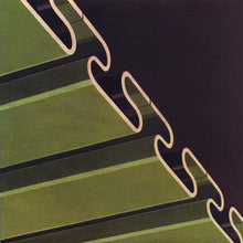 Load image into Gallery viewer, Electric Company / Furry Things : The Kahanek Incident Vol. 2 (12")
