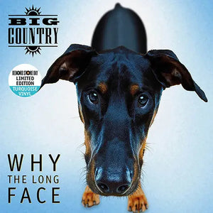 Big Country - Why The Long Face (RSD24)