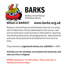 Load image into Gallery viewer, Strummer Room Records Presents... PET SOUNDZ - VOL.2 (Limited Edition CD Compilation