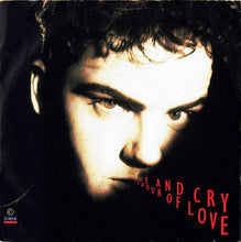 Load image into Gallery viewer, Hue & Cry : Labour Of Love (7", Single)