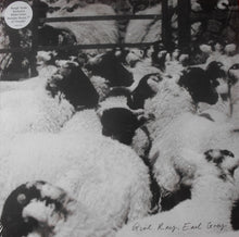 Load image into Gallery viewer, Girl Ray : Earl Grey (LP, Album, Ltd, Whi + 7", Single + CD, EP)